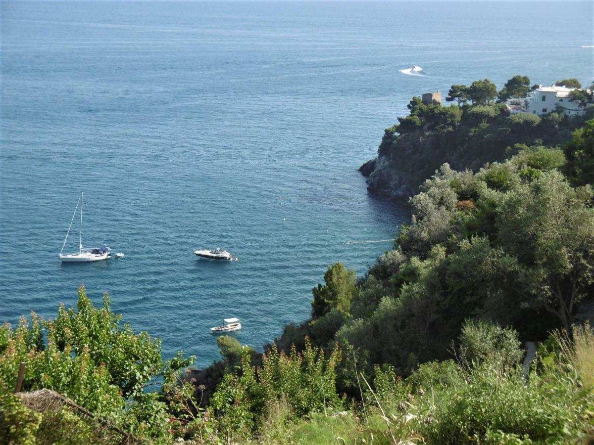Sea Breeze House Leilighet Amalfi Eksteriør bilde
